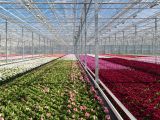Ressourcen sparen – Fernwärmeheizung in Landquart