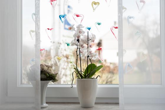 Blumen zu Valentin