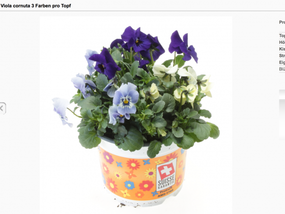Homepage 3