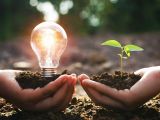 Flowered by Gensetter – führend bei der Vermeidung von CO2-Emissionen 